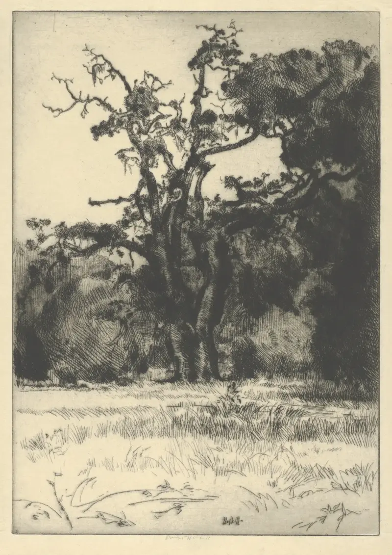 Dying White Oak av Ernest Haskell