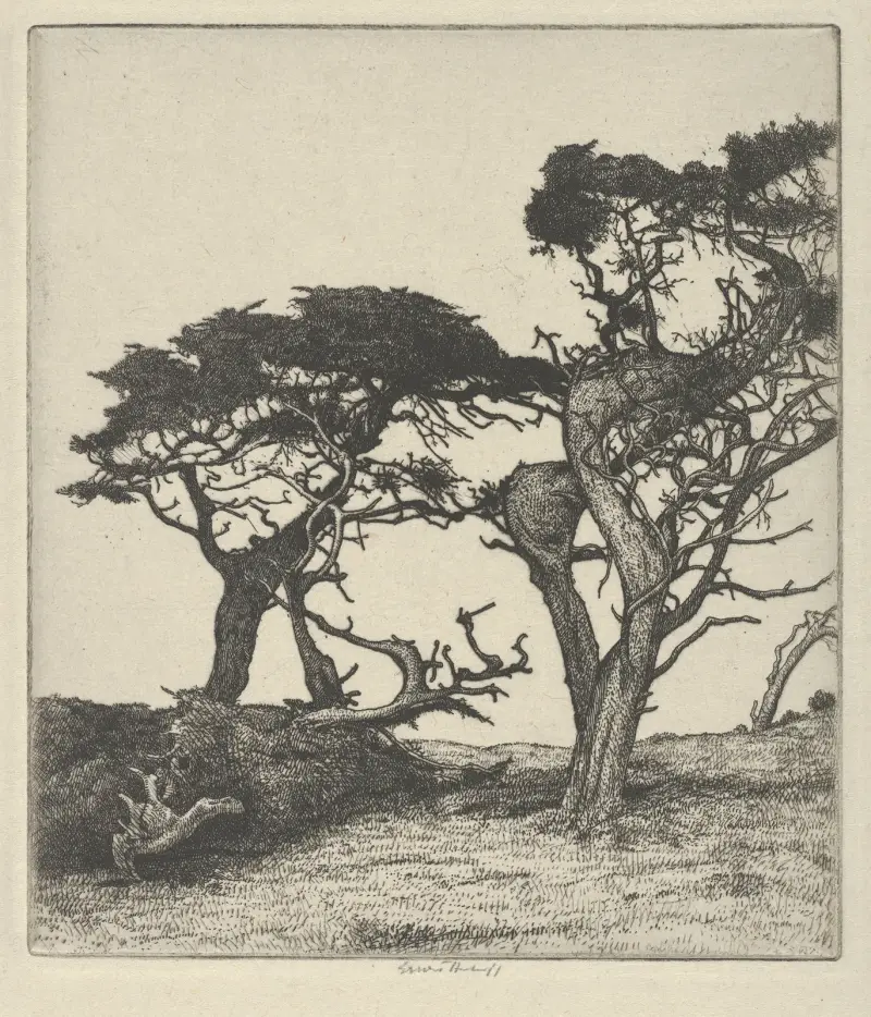 Fragment av strutsen av Ernest Haskell