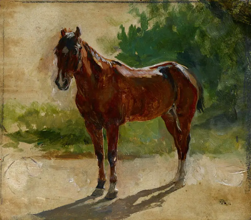 Brązowy koń, studium, Ernest Meissonier