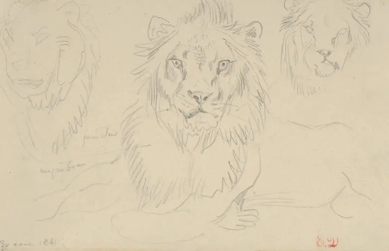 Ein Löwe, von vorn von Eugène Delacroix