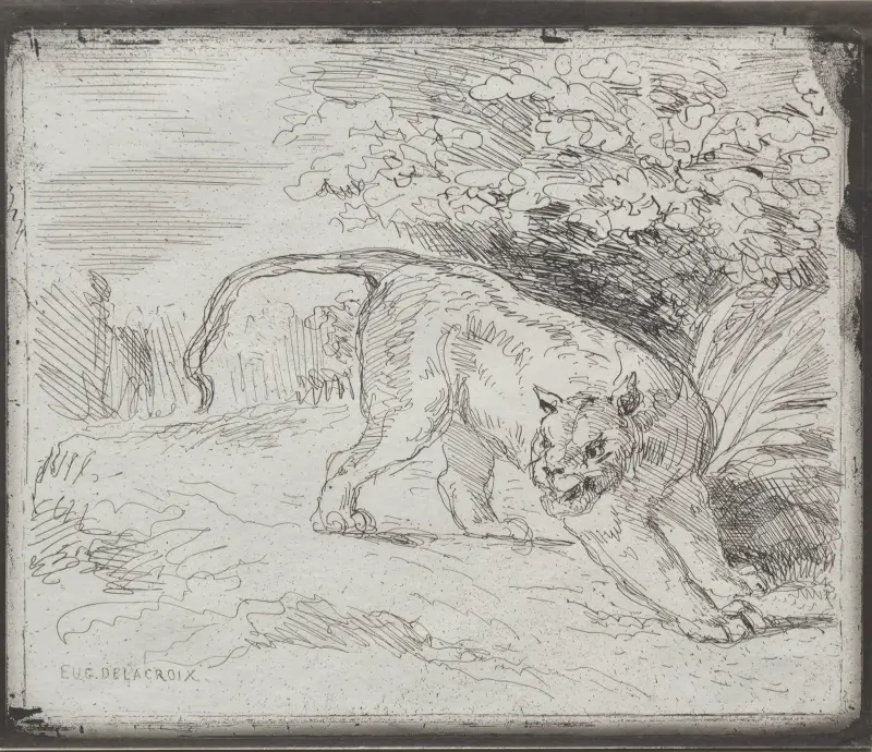 Tygrys w pułapce, Eugène Delacroix