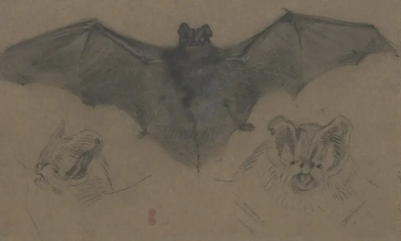 Bat av Eugène Delacroix