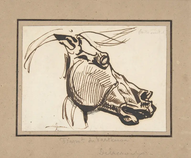 Hästhuvud efter Parthenon av Eugène Delacroix