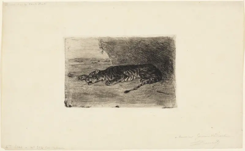 Liegender Tiger am Eingang seiner Höhle von Eugène Delacroix