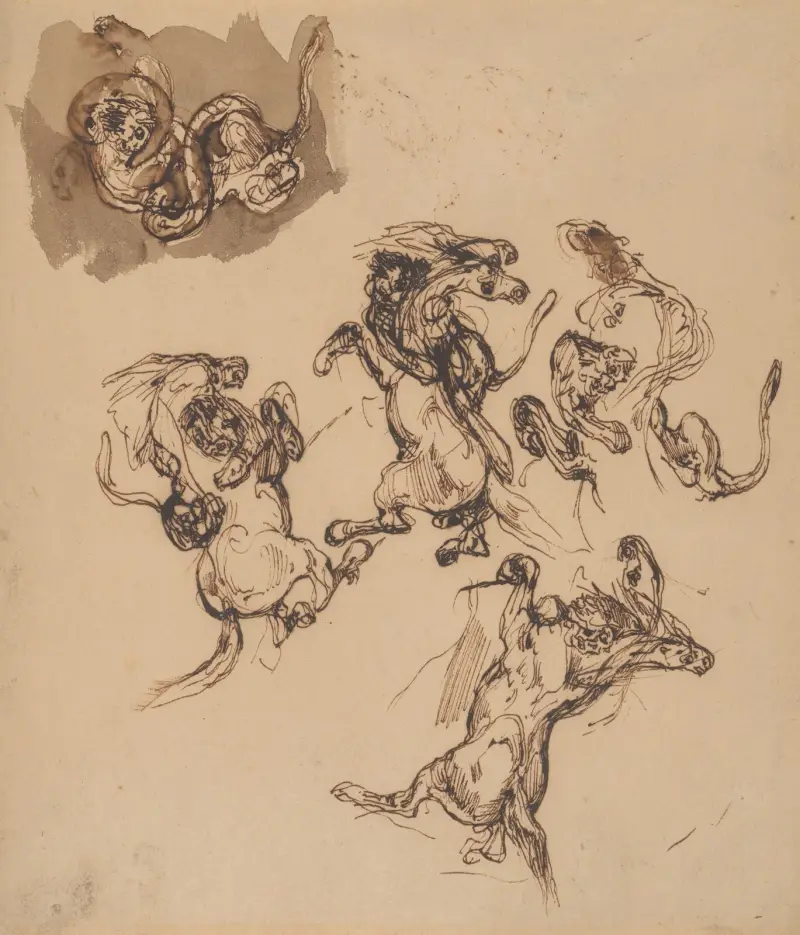 Studien eines sich aufbäumenden Pferdes, das von einem Löwen angegriffen wird, und eines Löwen, der mit einer Schlange ringt von Eugène Delacroix