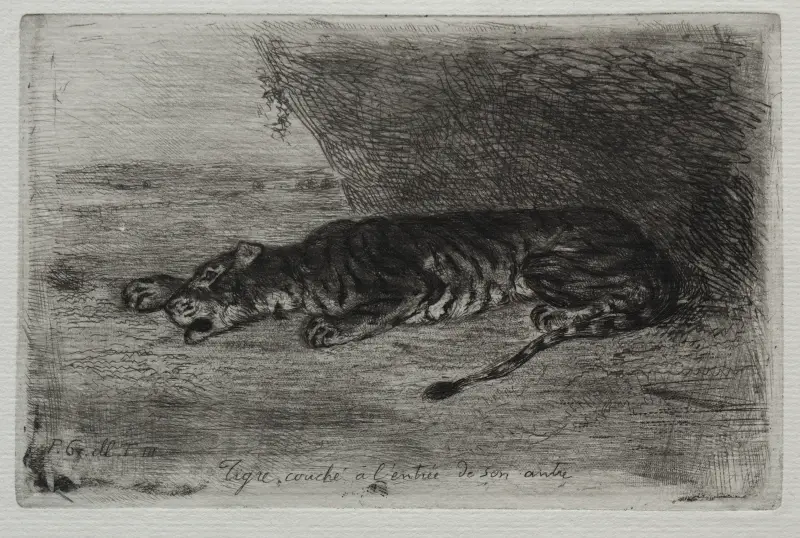 Tiger sovande vid ingången till sin lya av Eugène Delacroix