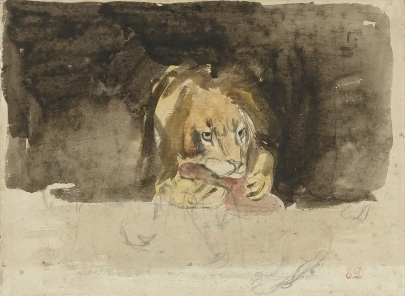 Lejon framifrån mot mörk bakgrund av Eugène Delacroix
