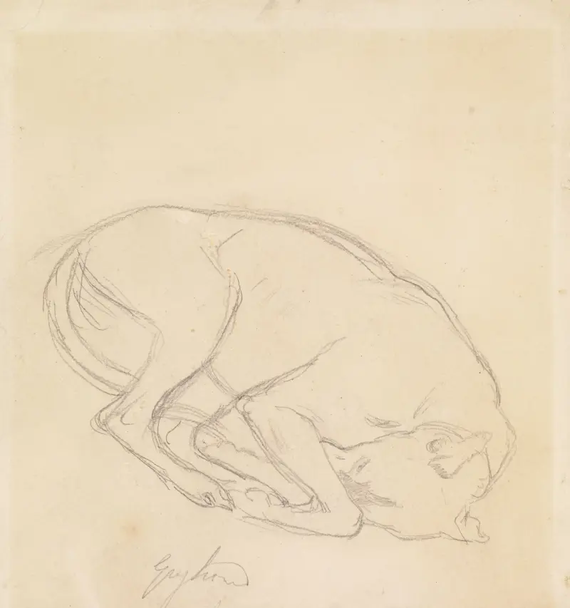 Studier av en haka, en sovande hund, med anteckningen 'greyhound' av Sir John Everett Millais