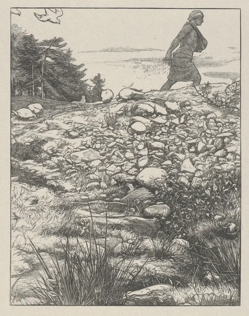 Rozsévač, Sir John Everett Millais