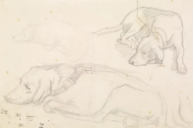 Tre studier av en sovande hund av Sir John Everett Millais