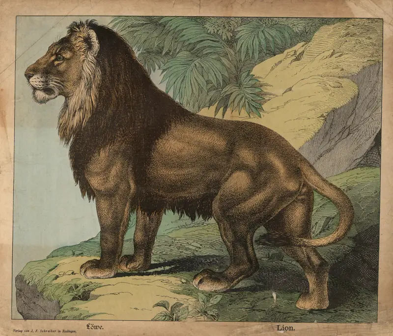Lev, J.F. Schreiber