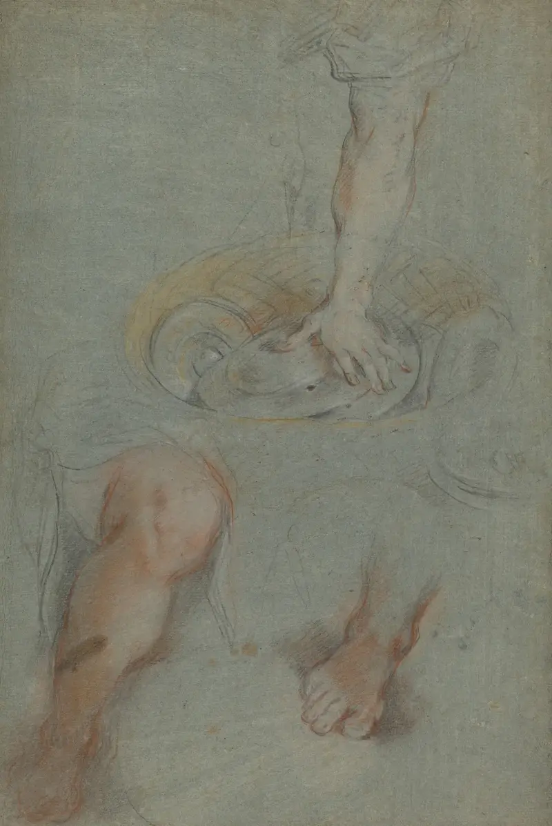 Studies for a Servant in ‘The Last Supper’ av Federico Barocci