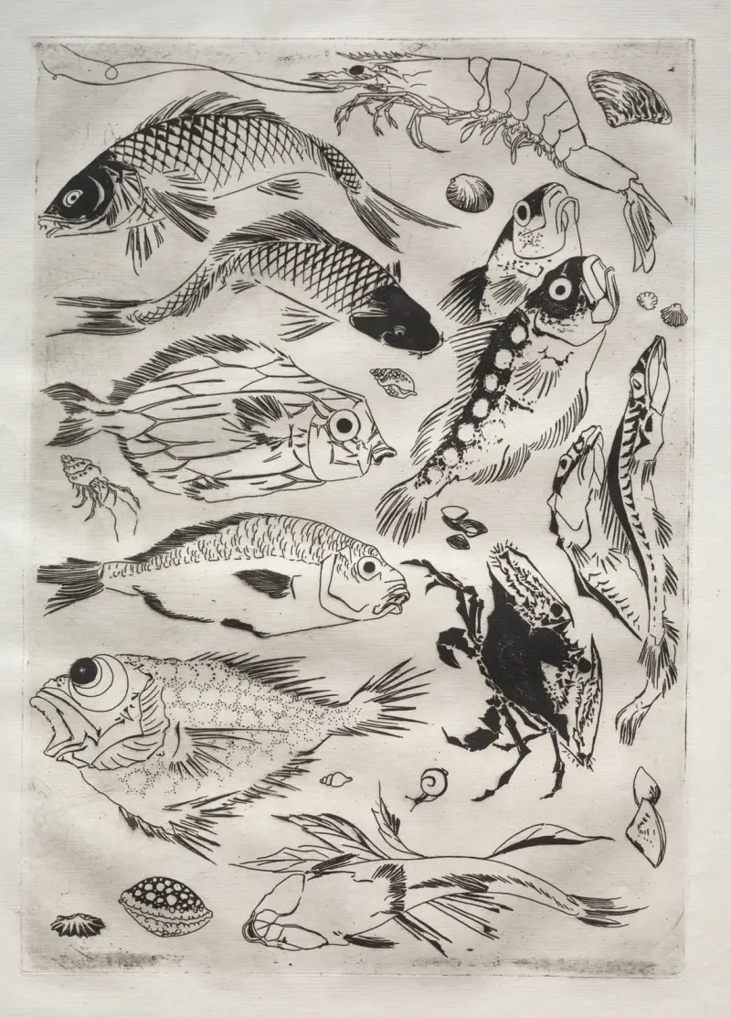Dinner Service (Rousseau service); Fish (no. 24) av Félix Bracquemond