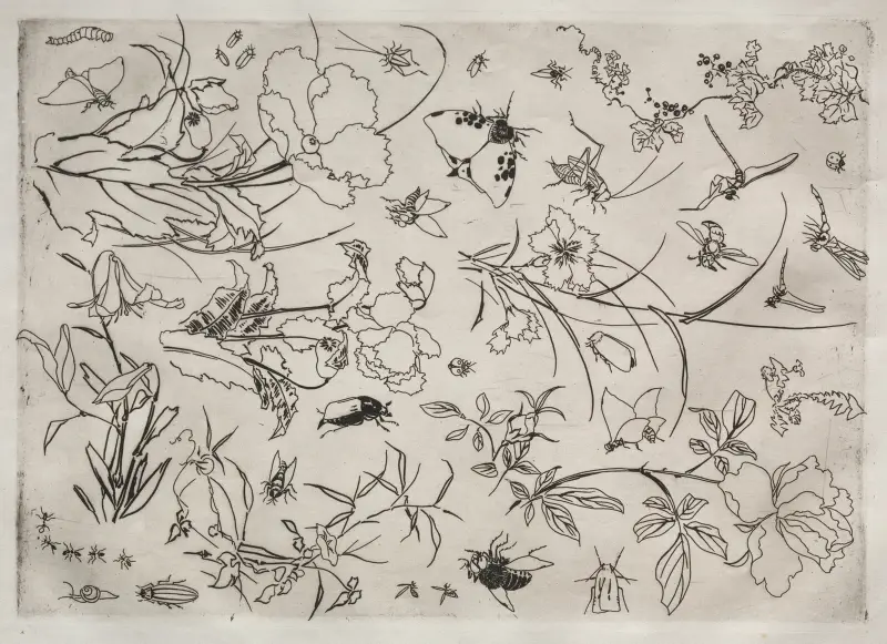 Tafelservice (Rousseau-Service); Blumen und Insekten (Nr. 15) von Félix Bracquemond