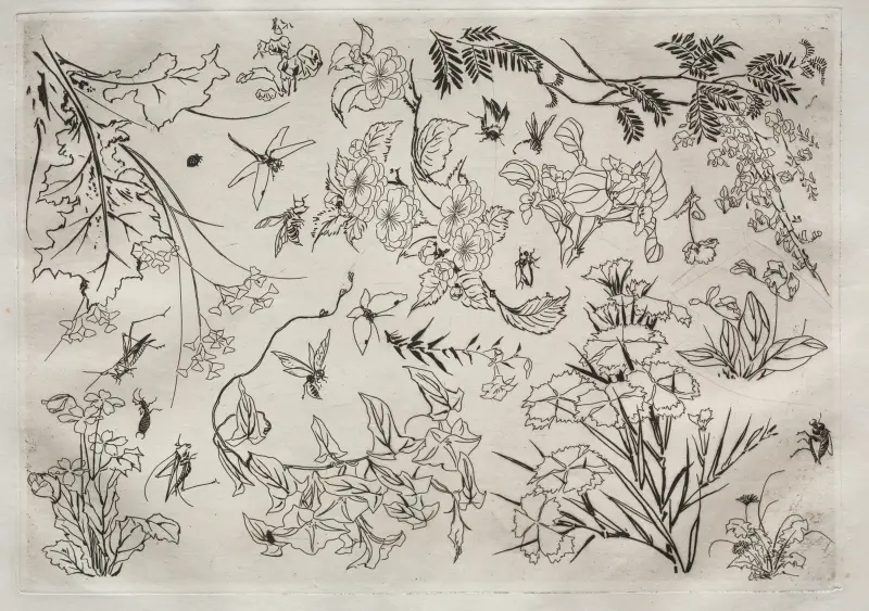 Dinner Service (Rousseau service); Flowers (no. 22), 1866 – nr 1 av Félix Bracquemond