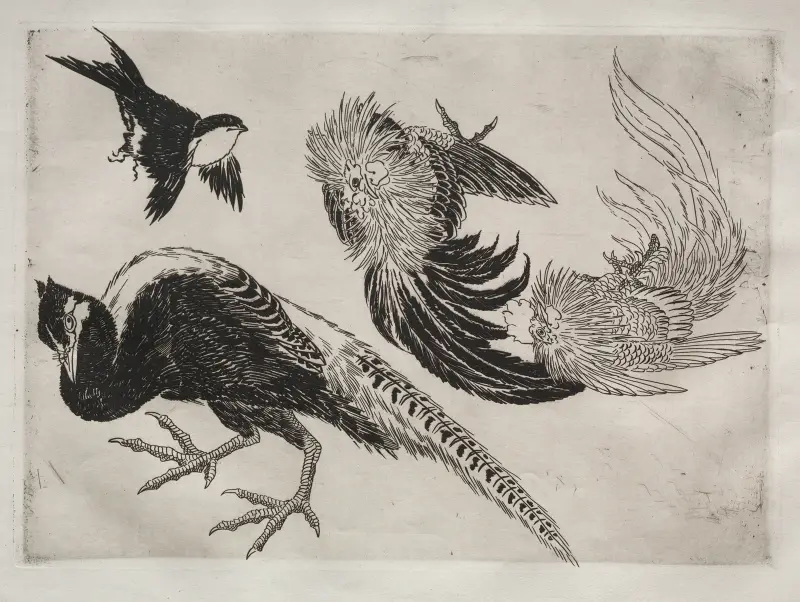 Dinner Service (Rousseau service); Pheasants and bird (no. 18) av Félix Bracquemond
