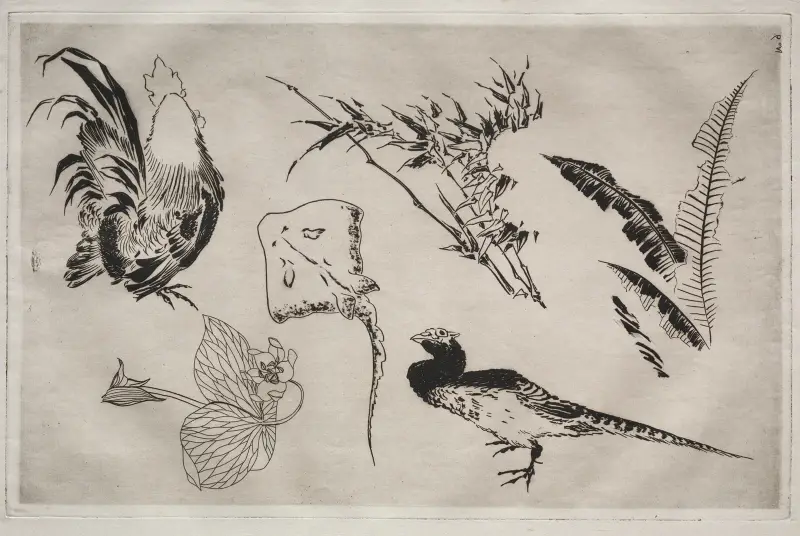 Tafelservice (Rousseau-Service); Hähne, Rochen, Pflanzen usw. (Nr. 9) von Félix Bracquemond