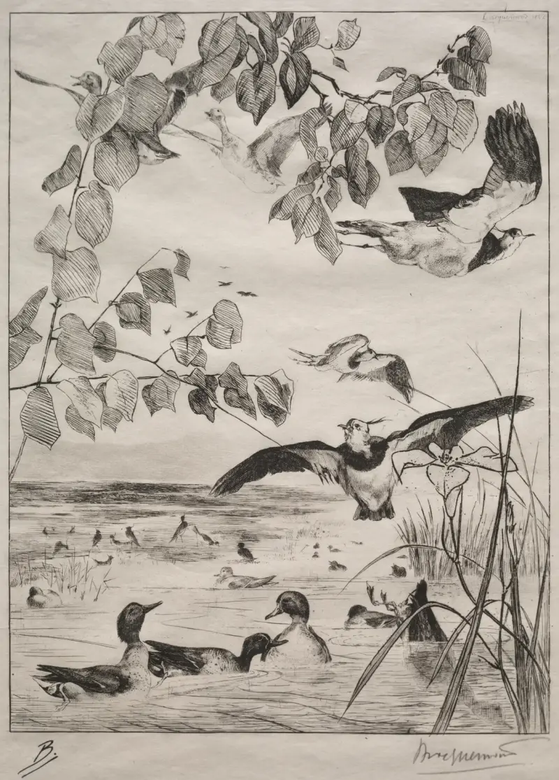 Lapwings and Teals av Félix Bracquemond