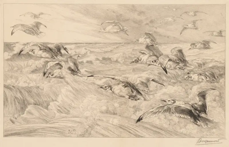 Seagulls (Les Mouettes) av Félix Bracquemond