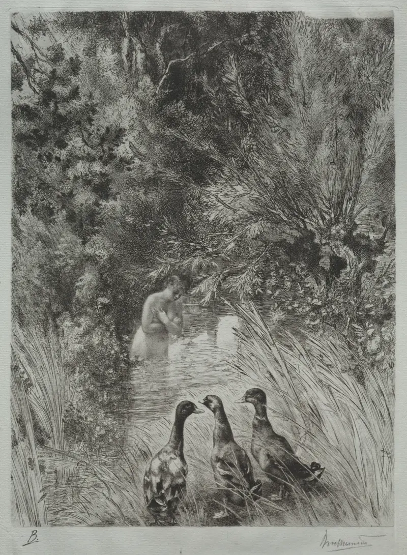 The Surprised Ducks av Félix Bracquemond