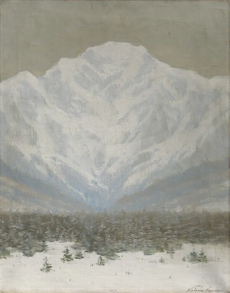 The High Tatras in Winter av Ferdinand Katona