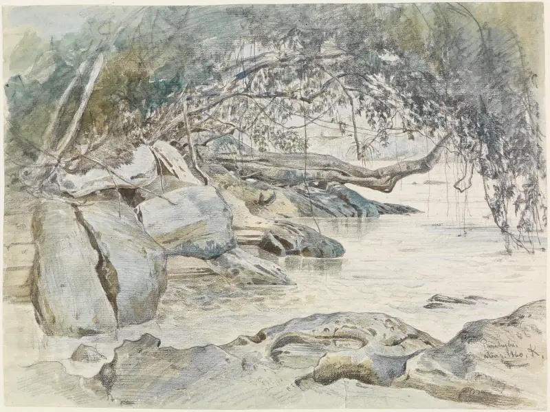 Trädbevuxen flodbank vid Parahyba av Ferdinand Keller