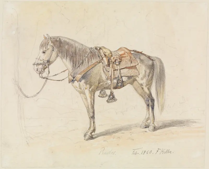 Studie eines gesattelten Pferdes von Ferdinand Keller