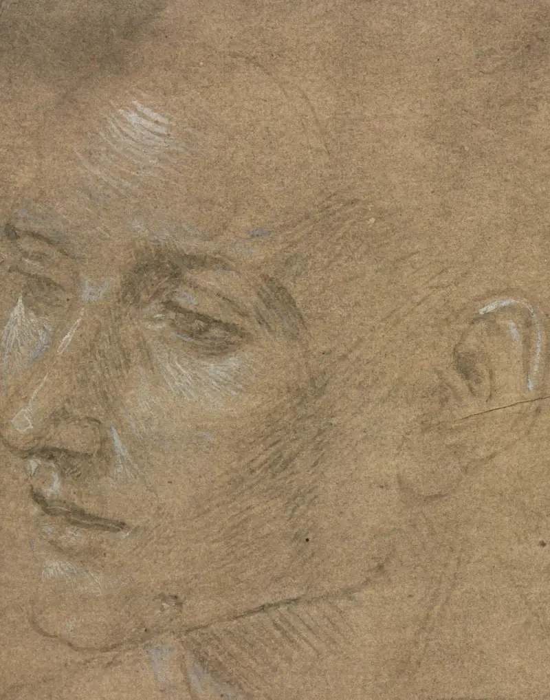 Huvud av en ung man av Filippino Lippi