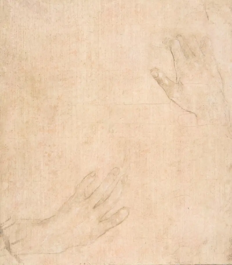 Two Studies of Hands av Filippino Lippi