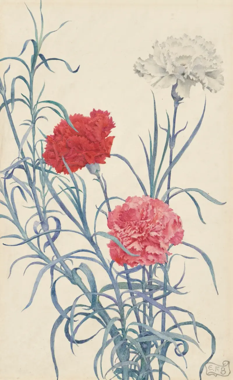 Carnations av Eleanor Fortescue-Brickdale