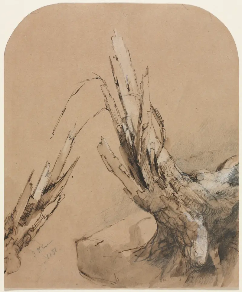 A Blasted Tree av Jasper Francis Cropsey