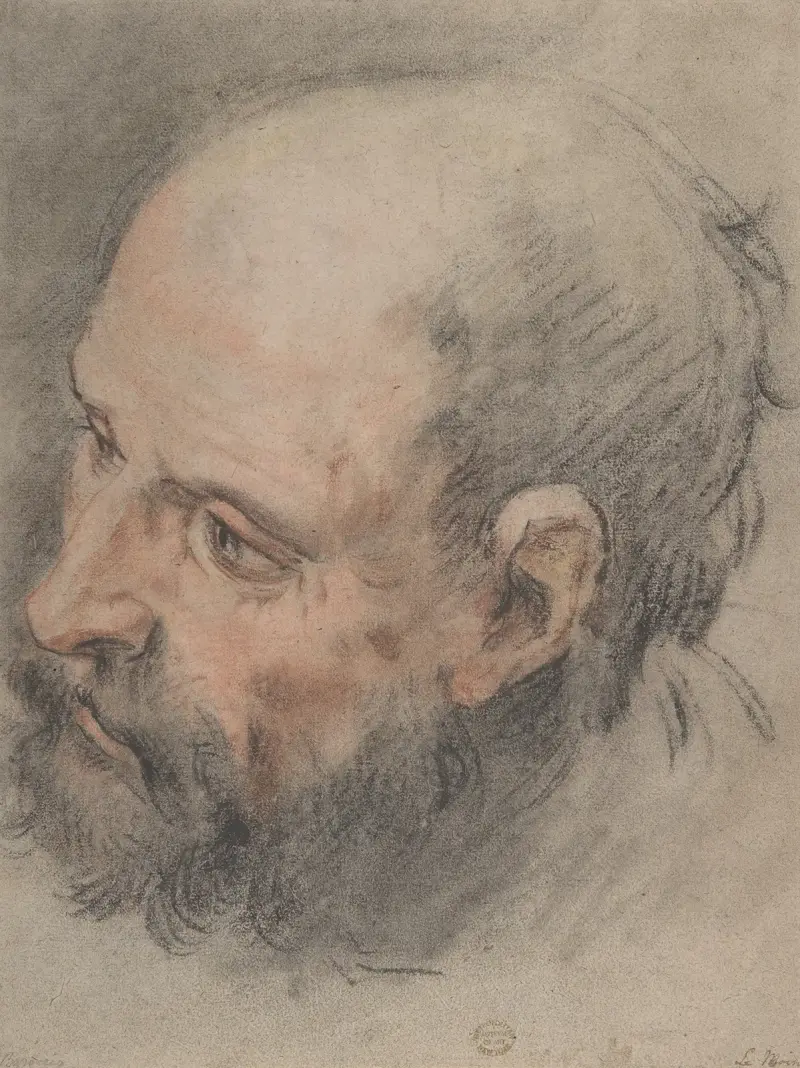 Kopf eines bärtigen Mannes, nach links blickend von François Lemoyne