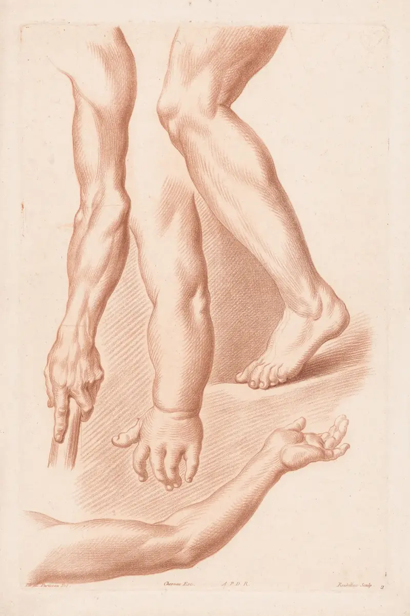 Verschiedene Ansichten eines Beins und dreier Arme von Louis-François Roubiliac