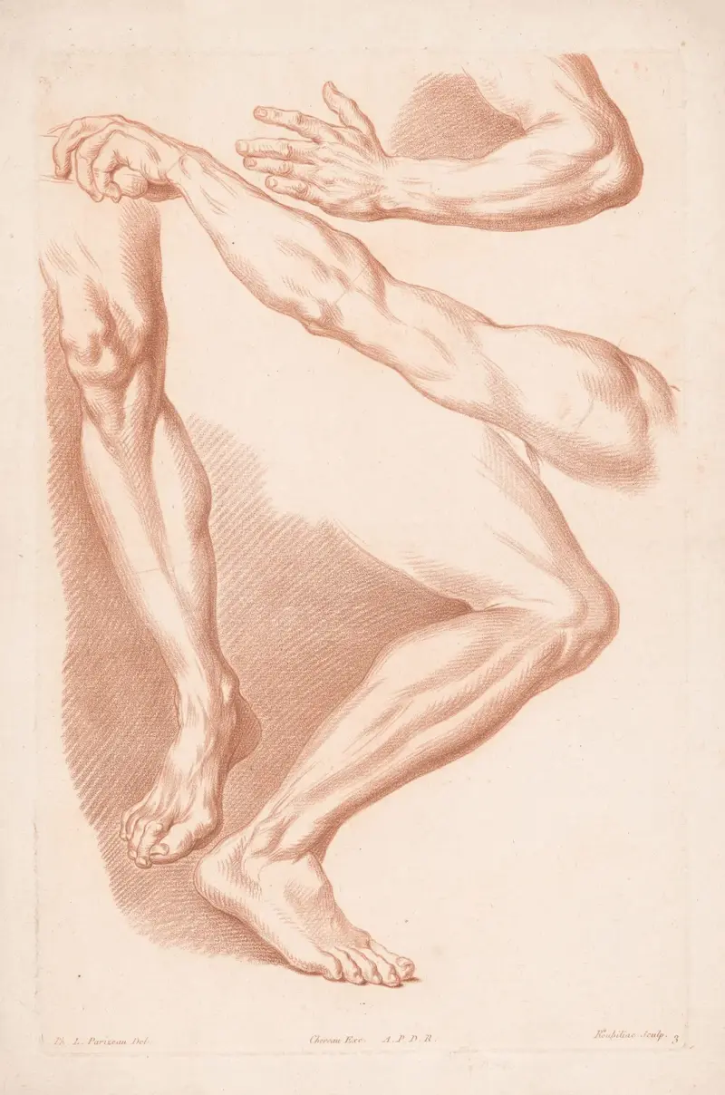 Verschiedene Ansichten von zwei Beinen und zwei Armen von Louis-François Roubiliac