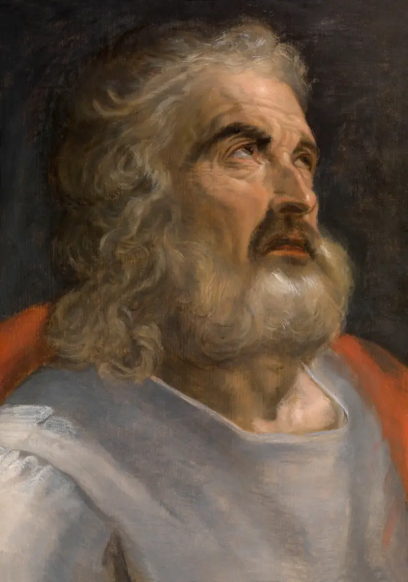 Mężczyzna z brodą, Frans Floris