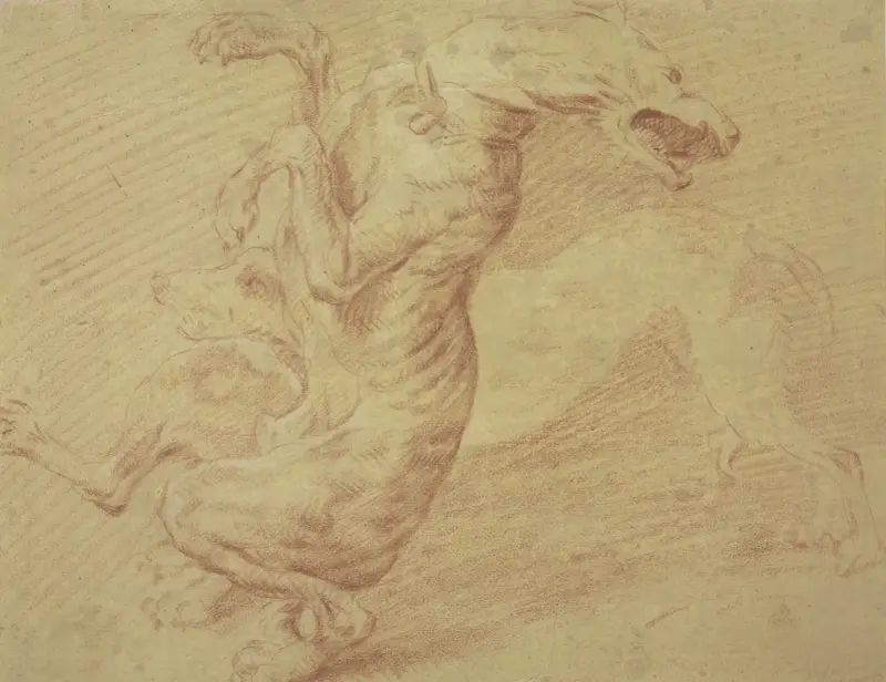 Bojující psi, Frans Snyders