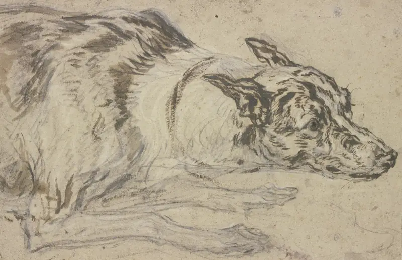 Fläckigt hundhuvud med framtassar av Frans Snyders