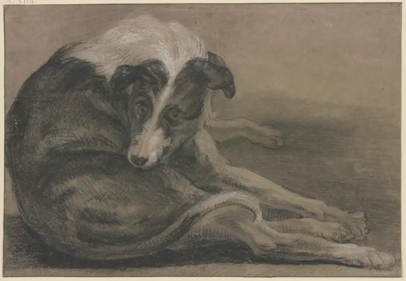 Greyhound, lying av Frans Snyders