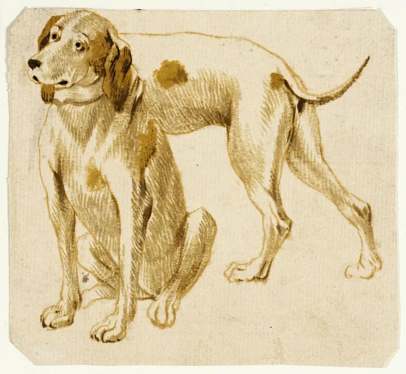 Hundestudien – Nr. 3 von Frans Snyders