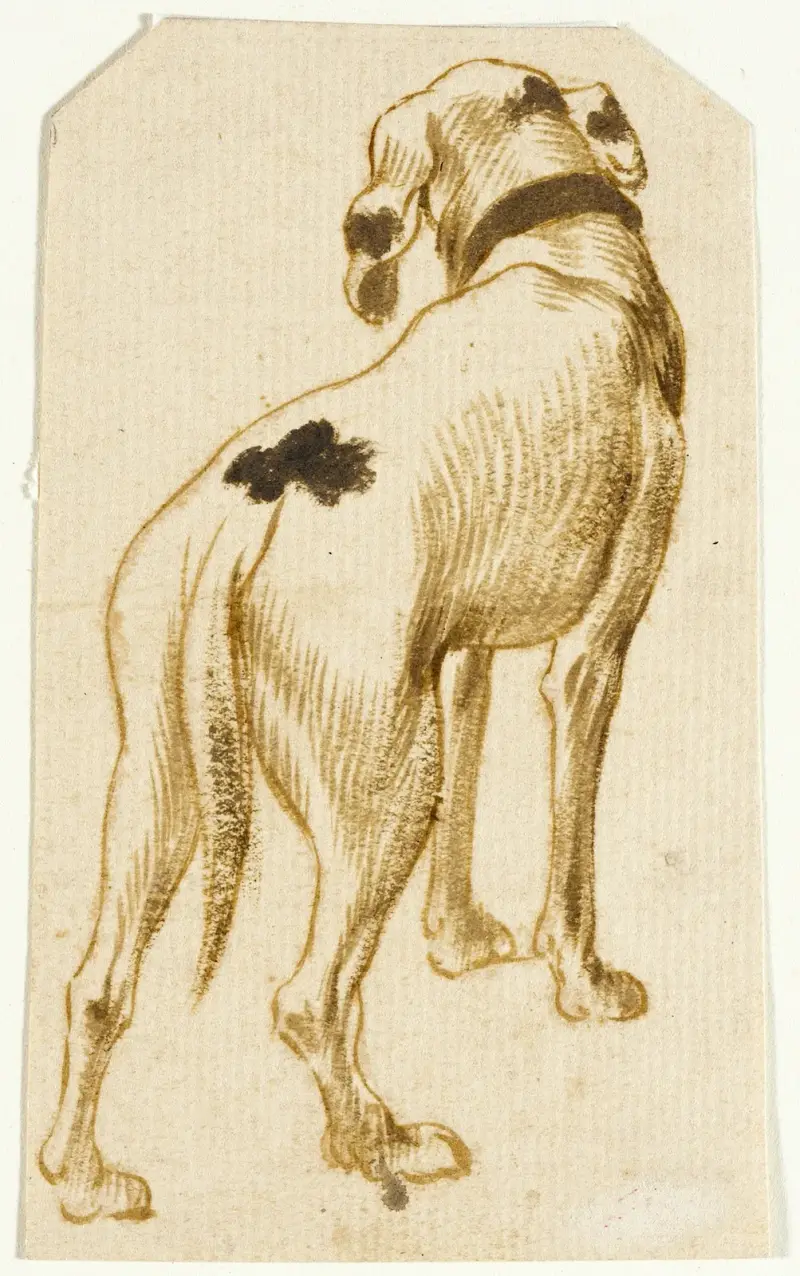 Hundestudien – Nr. 1 von Frans Snyders