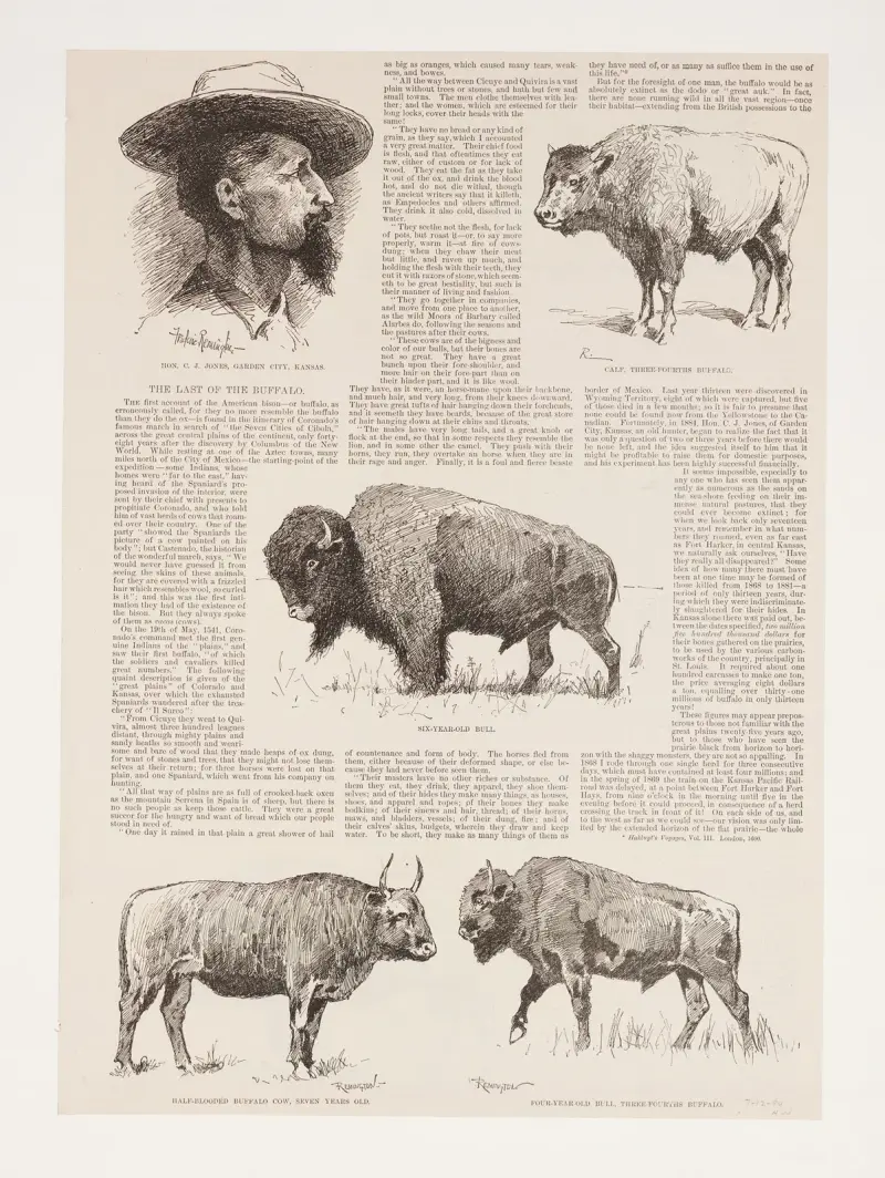 6 rysunków amerykańskiego bizona i portret Ho.N.C.J. Jonesa, Garden City, Kansas, Frederic Remington