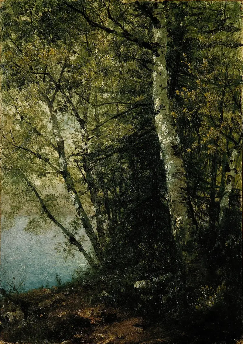 Study of Beeches av John Frederick Kensett