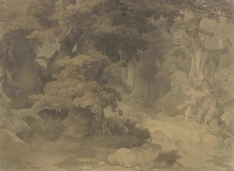 Eichenwald von Karl Friedrich Lessing