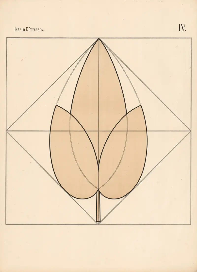 Elementary Freehand Drawing vol.2 Pl.04 av Harald Frithjof Petersen