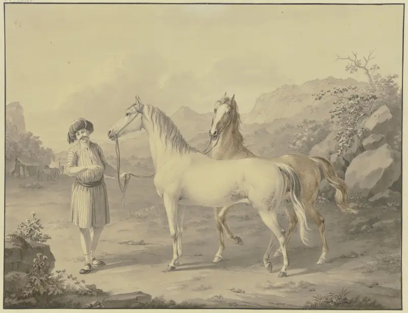 Arabští koně, Johann Georg Pforr