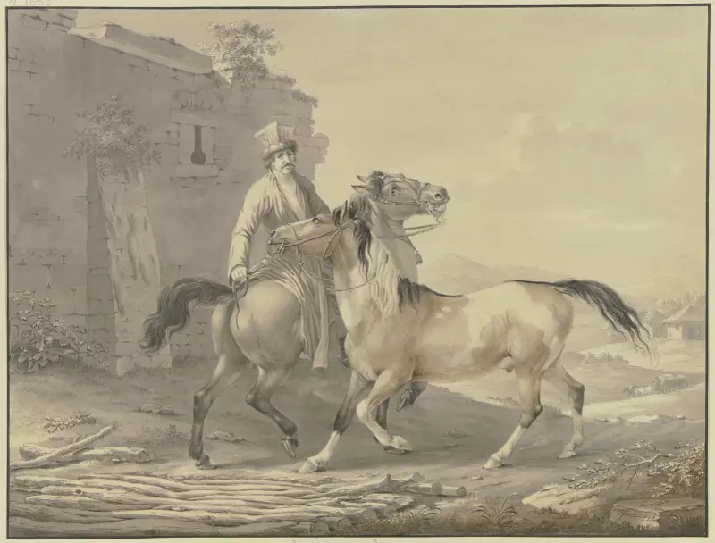 Polskie konie, Johann Georg Pforr