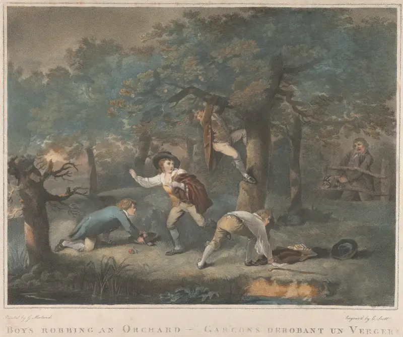 Boys Robbing an Orchard av George Morland