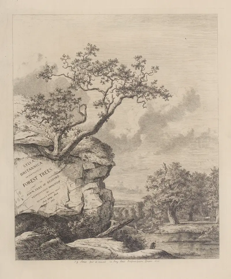 Frontispiece av Jacob George Strutt
