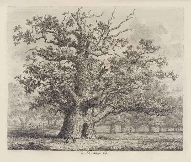 Sir Philip Sidney’s Oak av Jacob George Strutt