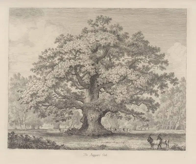 The Beggar’s Oak av Jacob George Strutt